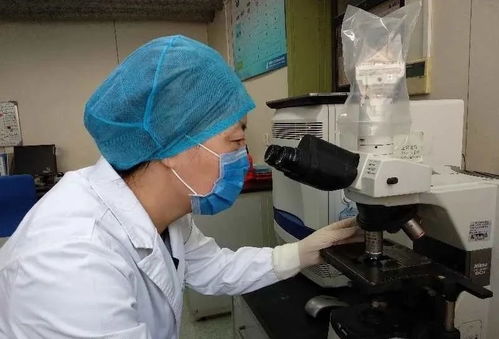 王慧珠 筑牢生物安全防线，确保新冠肺炎检测万无一失的公共安全卫士